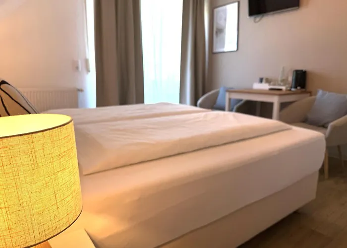 Guest house Frisia 4*